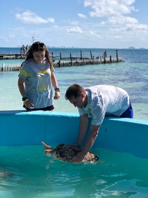 Father and daughter and a swimming turtle.